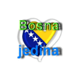 Bosna Jedina